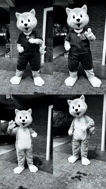 Mascote Dudu, um gato de uniforme, em quatro poses numa montagem em preto e branco